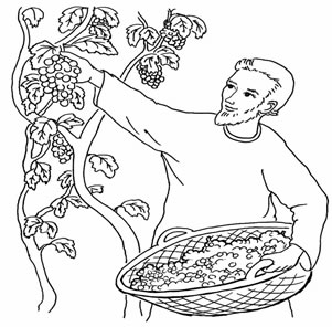 25th Sunday in Ordinary time