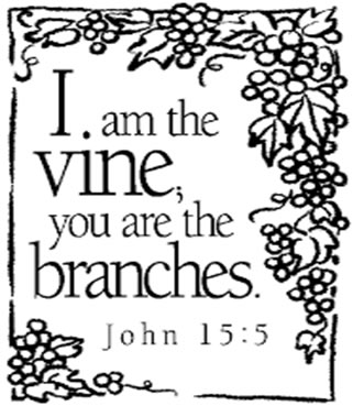 5th Sunday of Easter