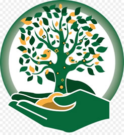11th Sunday in ordinary time